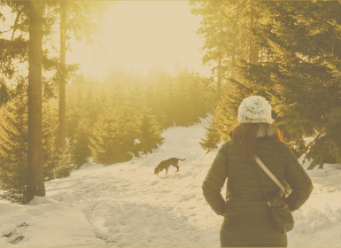 Wyprawa zimowa w góry z psem czyli jak przygotować się na taką okazję